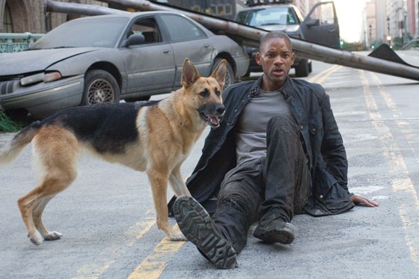 Sam from 'I Am Legend'