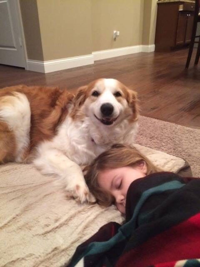 2. Dog napping with his human