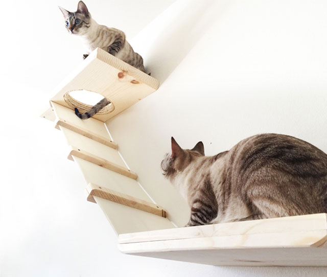 2. Wall Furniture for Cats