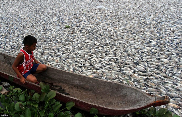 10. Millions of Fish are Dying