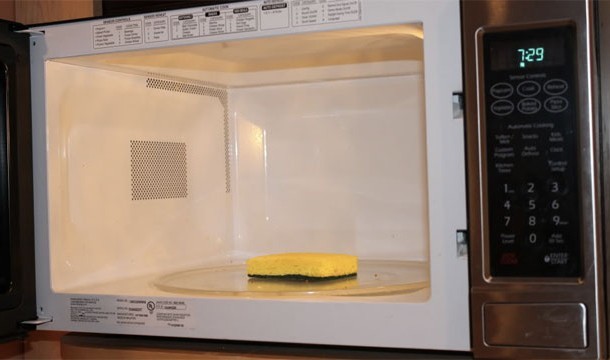 12. Time to Disinfect the Sponge