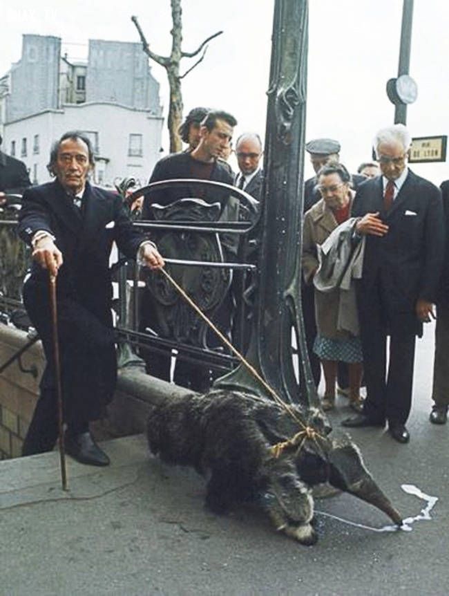 Salvador Dali walking his pet