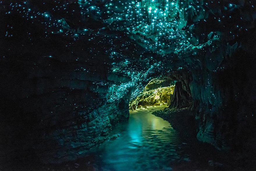 1. Glowworms Cave, New Zealand