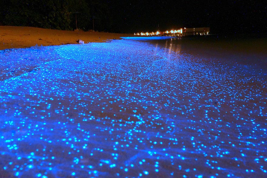 12. Glowing Beach In Maldives