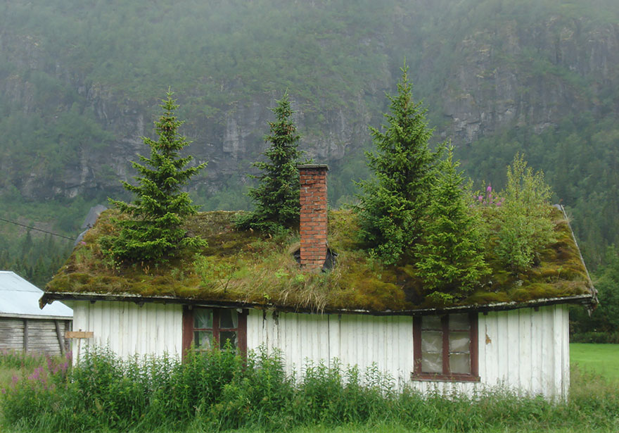 8. House in Norway