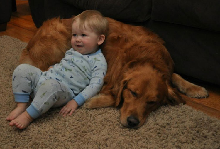 Pets prevent children from developing psychosomatic diseases