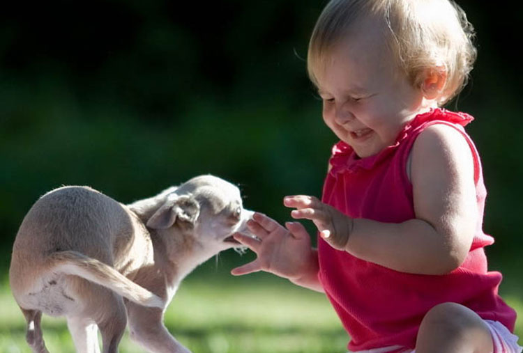 Pets can help kids deal with jealousy