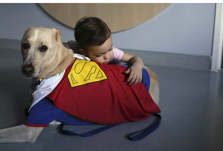 This dog brightens up the Children’s Hospital