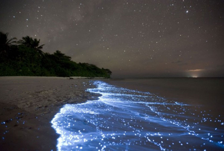 Sea of stars, Vadhoo Island