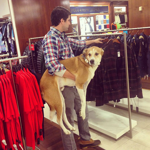 Shopping with the dog