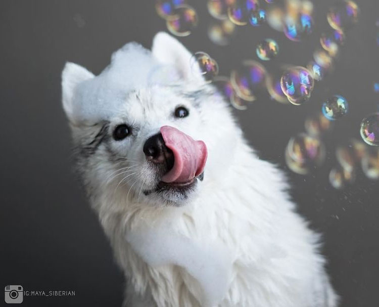 She loves bubbles