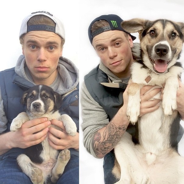 Olympic skier Gus Kenworthy adopted this stray dog