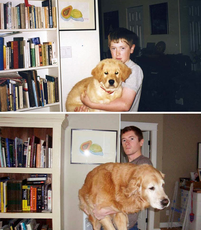 “My Dog Midas And Myself After A Decade Together”