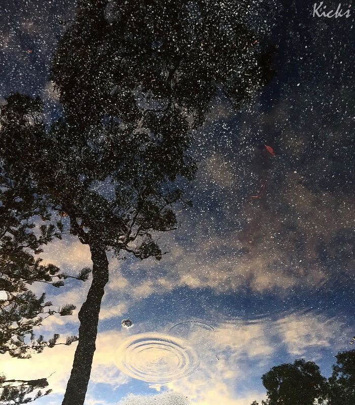 “I Took This Photo Of A Reflection In A Puddle And The Gravel Looks Like A Starry Night Sky”