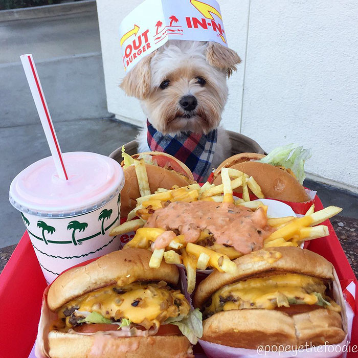 He loves In-N-Out