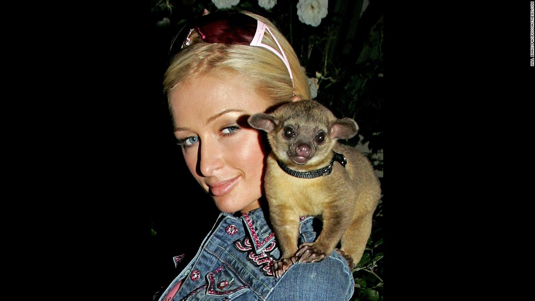 Paris Hilton's weird pet