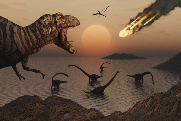 65 million years ago something amazing happened
