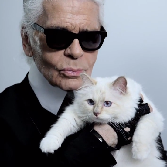 The cat Choupette Lagerfeld