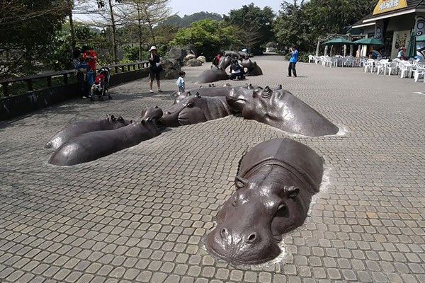Hippos on the pavement