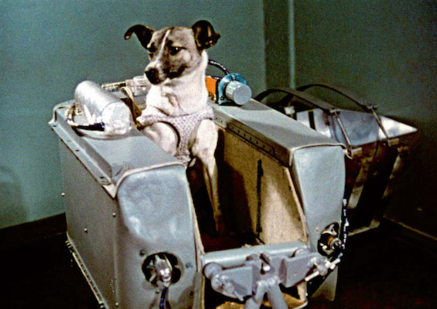 LIE: The first animal that went to the moon was Laika