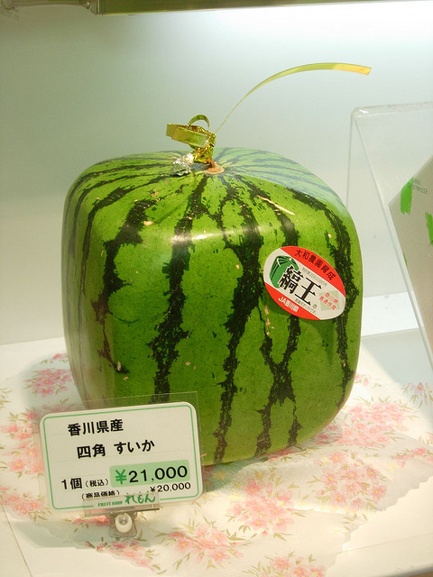 Among the luxurious fruits there is the Square Watermelon!