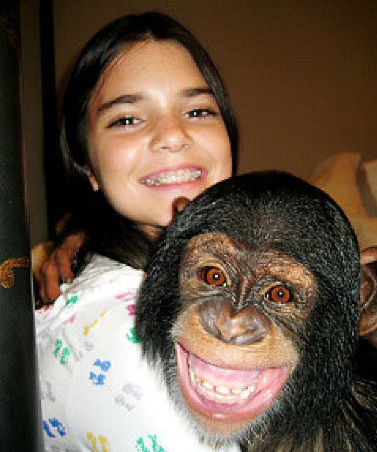 The most famous sisters' chimpanzee