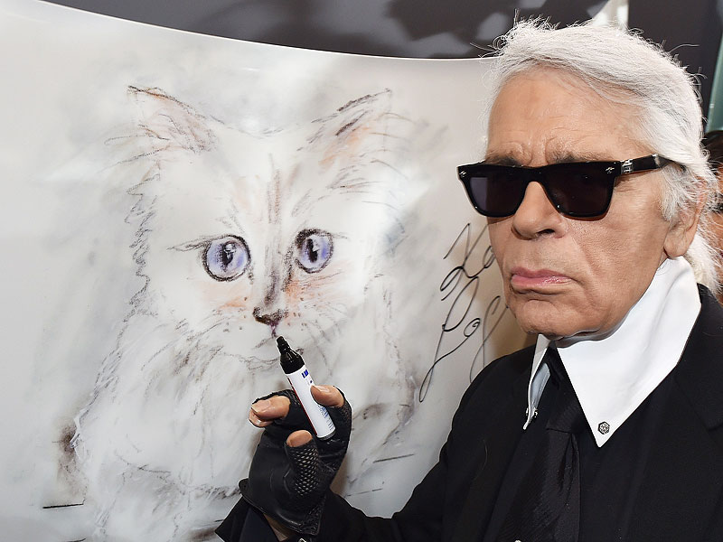 Being a mascot of the designer Karl Lagerfeld has many advantages