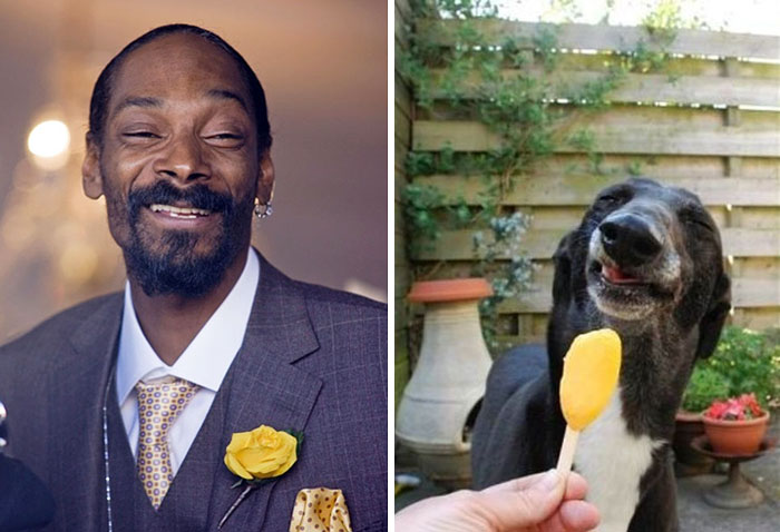 Snoop Dogg and the Dog