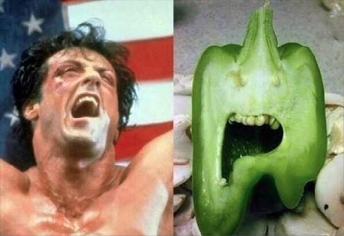 Rocky chili pepper