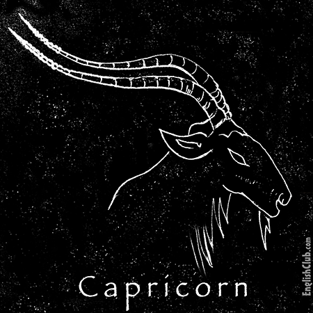 Capricorn (December 22 - January 19):