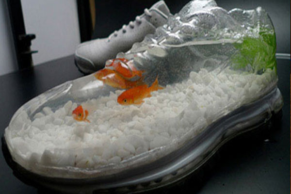 Fish tank shoes