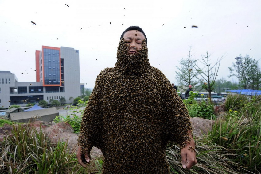 Most bees on a human body