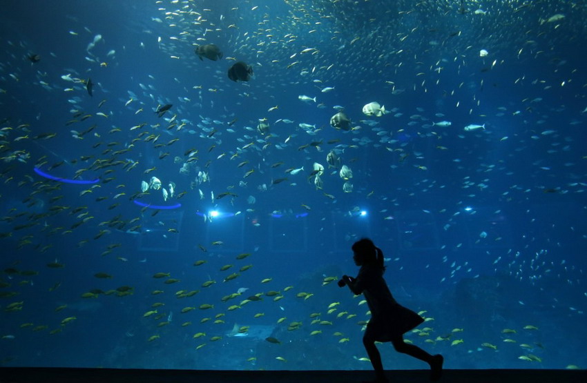 China Opens World's Largest Aquarium