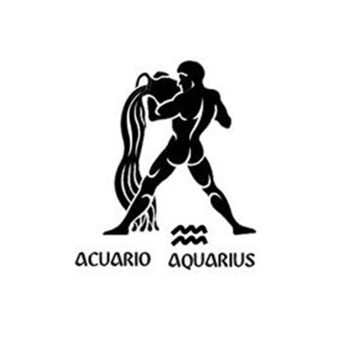 Aquarius (January 20 - February 18):