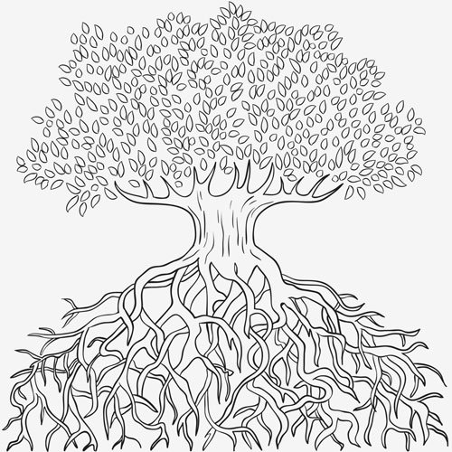 Draw trees with roots