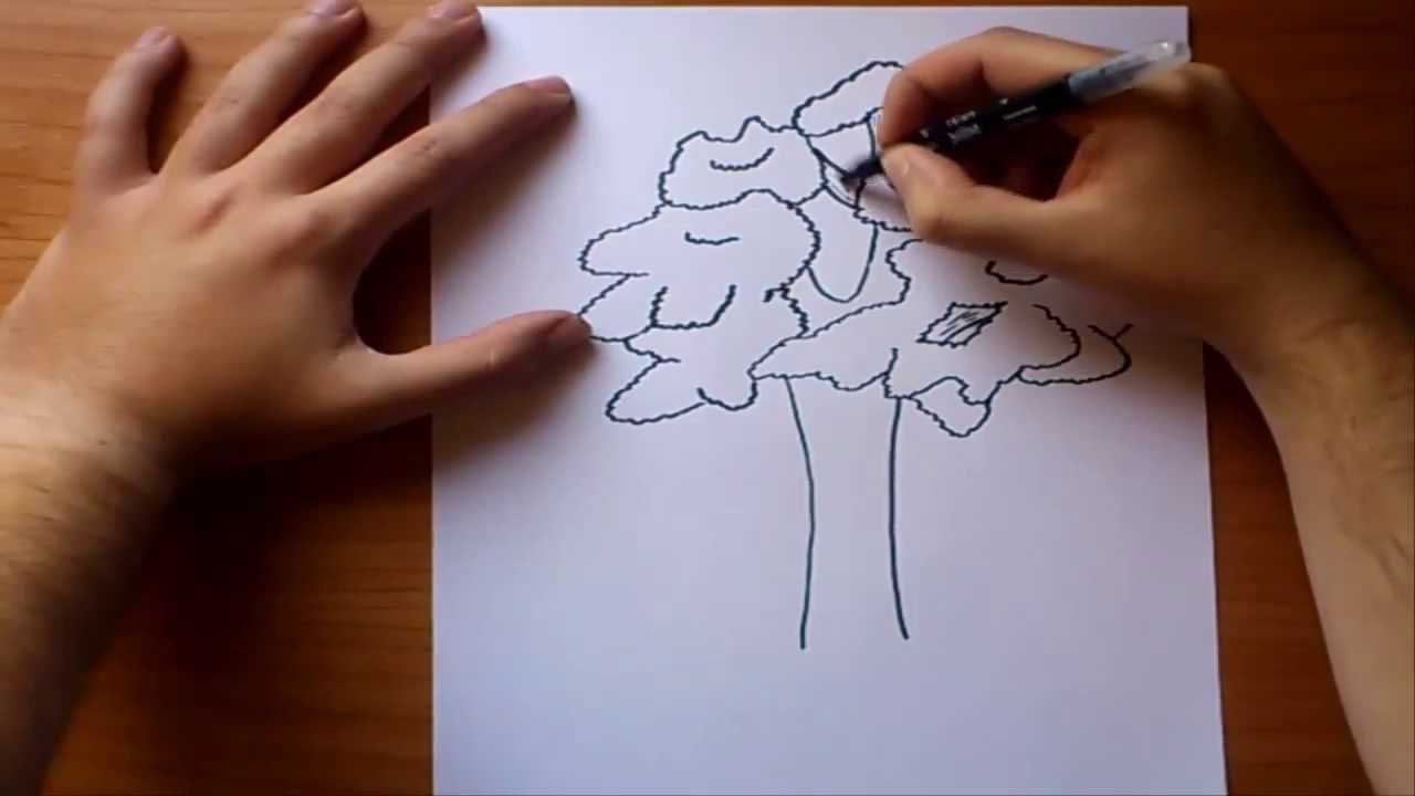 Draw leaves or trees