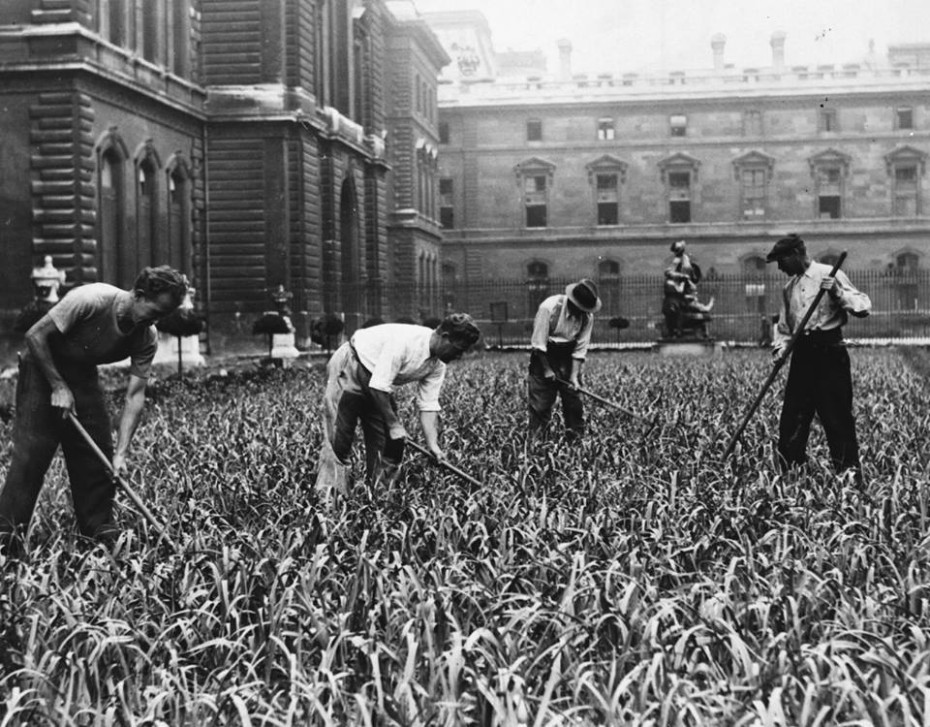 Cultivating at the Louvre in Paris