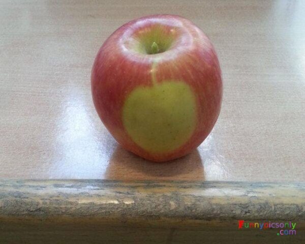 Apple inside apple.