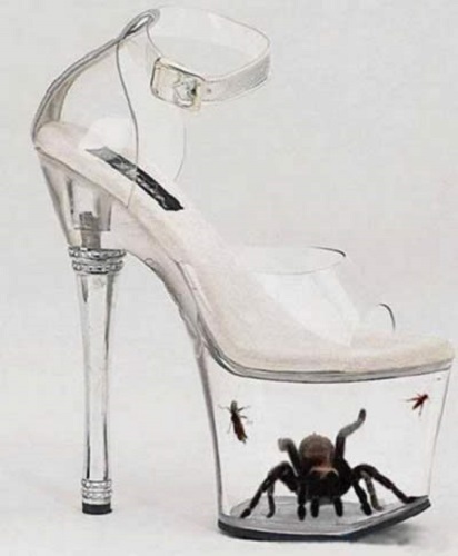 1. Insect locked shoes