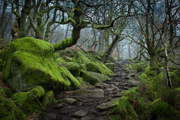 Enchanted path - United Kingdom