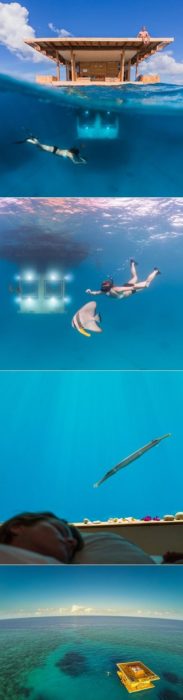 Underwater 2.0 - Zanzibar