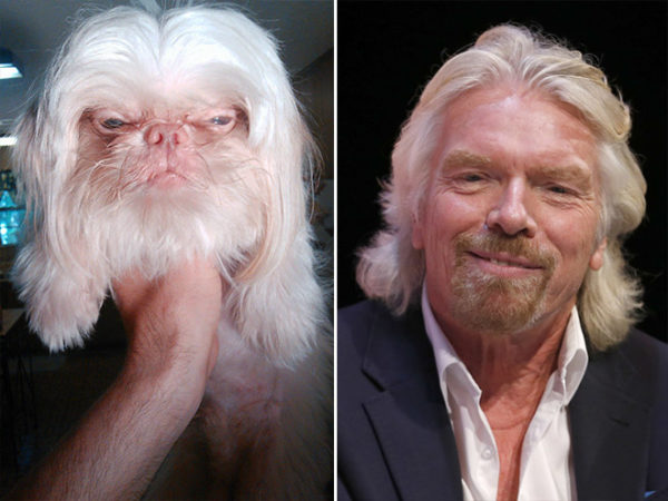 Richard Branson vs dog