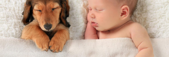 The Cutest Photos Of Babies And Dogs... Ever!