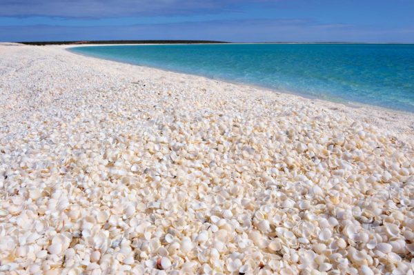 Shell beach in western Australia.