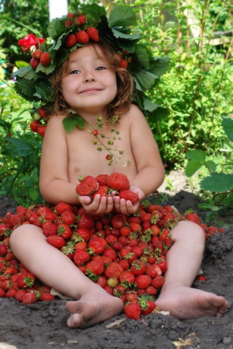 Strawberry fields forever!