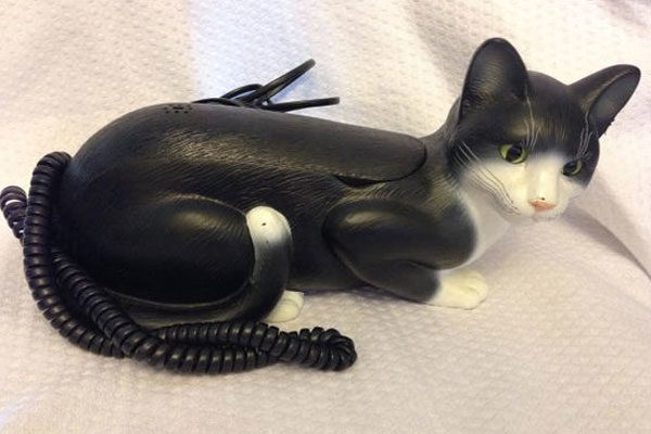 The experiment that turned a cat into a telephone