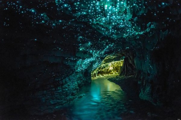The Glowworm Caves of New Zealand
