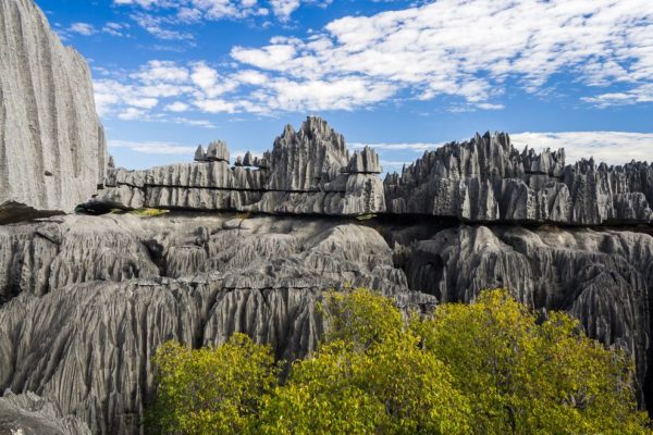 A stone forest, in Madagascar.