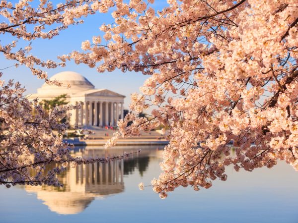 National Cherry Blossom Festival, Washington, D.C