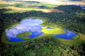 Pantanal, Mato Grosso do Sul